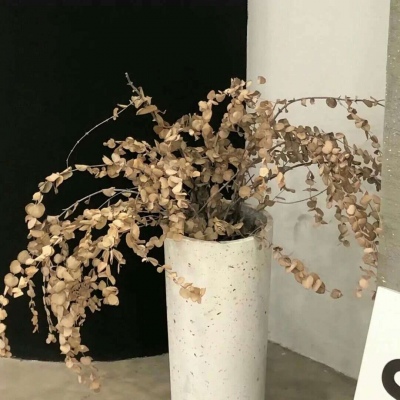 大理FurryQQ群介绍